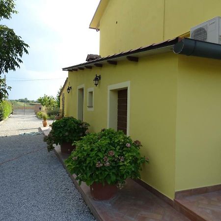 Appartamento Podere I Renai Santa Maria a Monte Eksteriør bilde